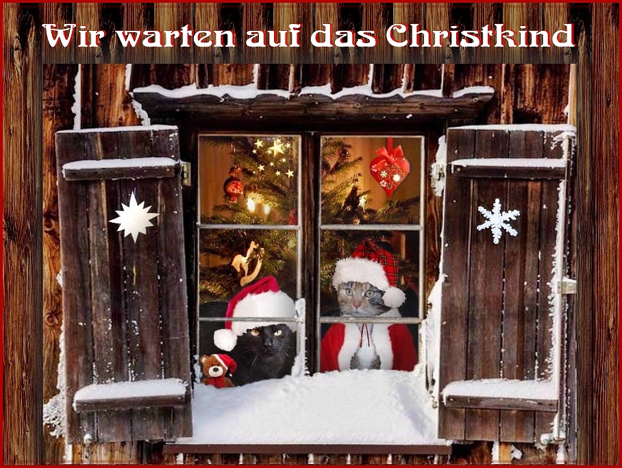 Wir wünschen ALLEN ein frohes Weihnachtsfest