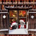 Wir wünschen ALLEN ein frohes Weihnachtsfest