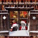 Wir wünschen ALLEN ein frohes Weihnachtsfest