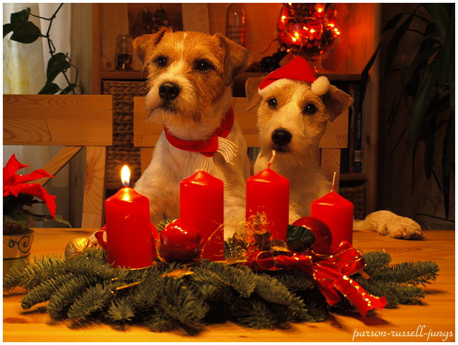 Wir wünschen einen schönen 1. Advent! Foto &amp; Bild jungs und freunde