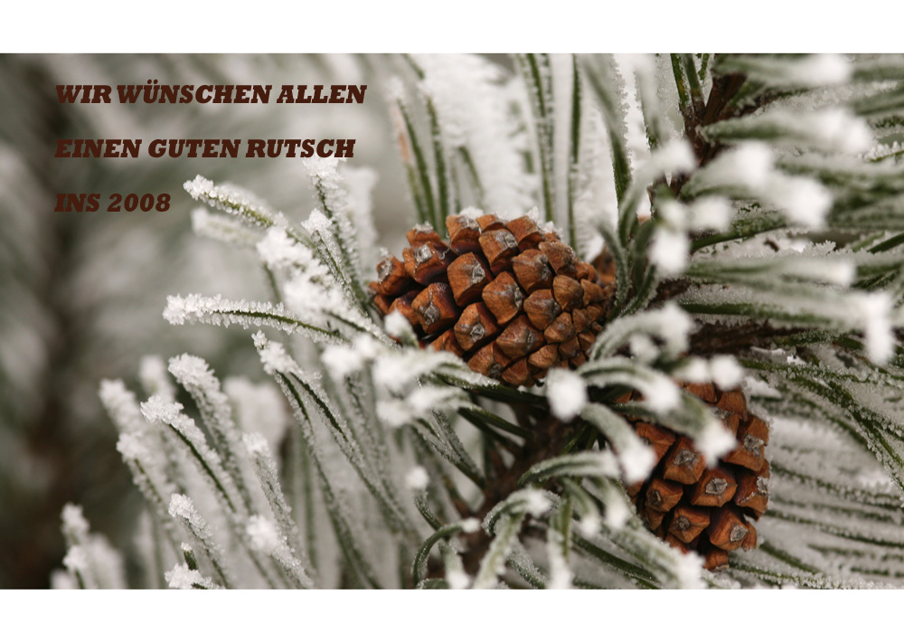 Wir wünschen euch... Foto & Bild karten und kalender, neujahrswünsche