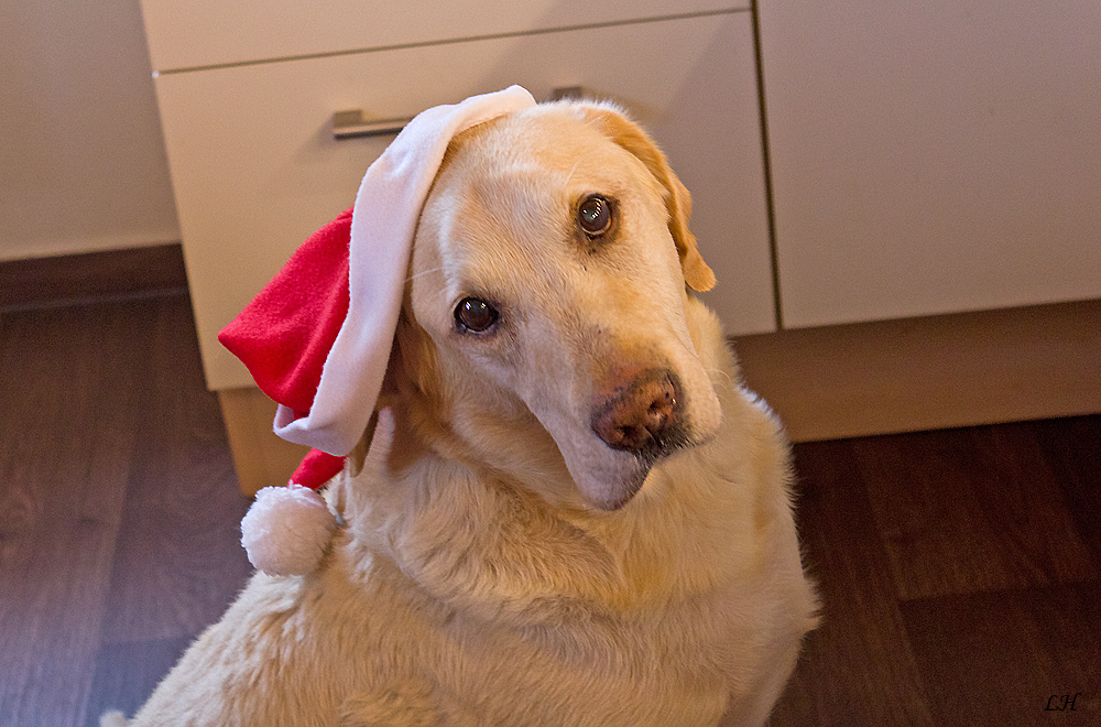 Wir wünschen euch allen Frohe Weihnachten...