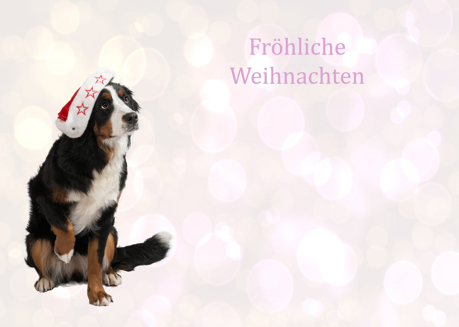 Wir wünschen euch Fröhliche Weihnachten