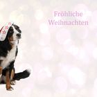 Wir wünschen euch Fröhliche Weihnachten