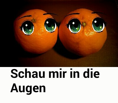 Wir Zwei 1