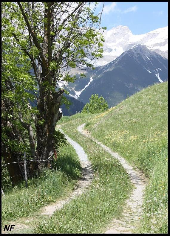 Wird der Weg ein leichter sein?