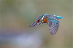 Wird dies wohl erfolgreich!