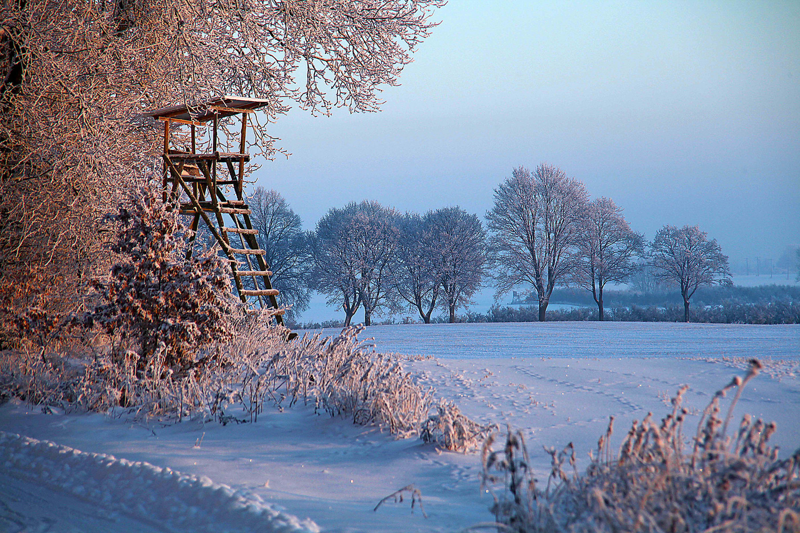 Wird es doch noch Winter?