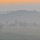 wird Frühling allerorten