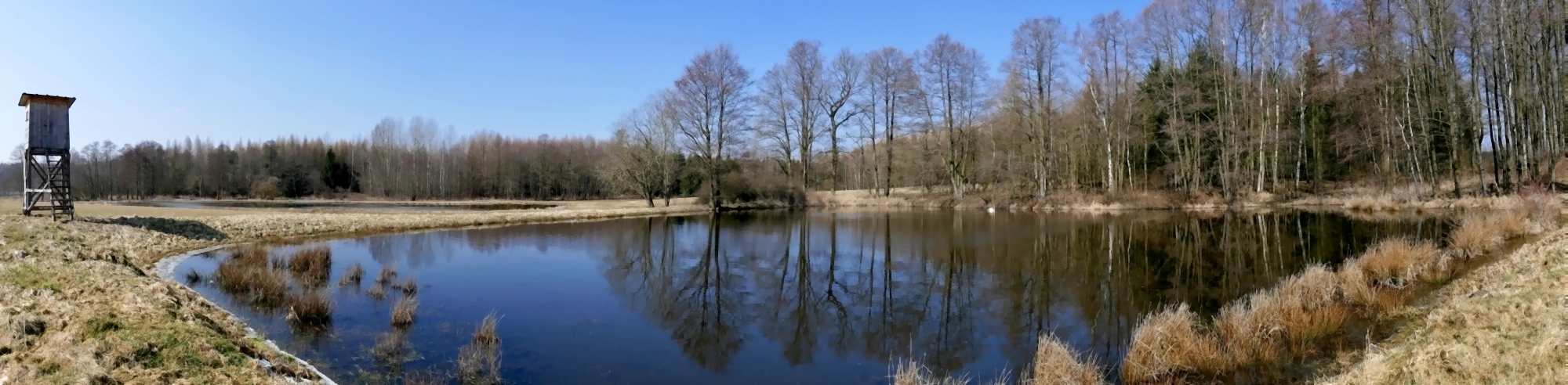 Wird nun Frühling oder was?