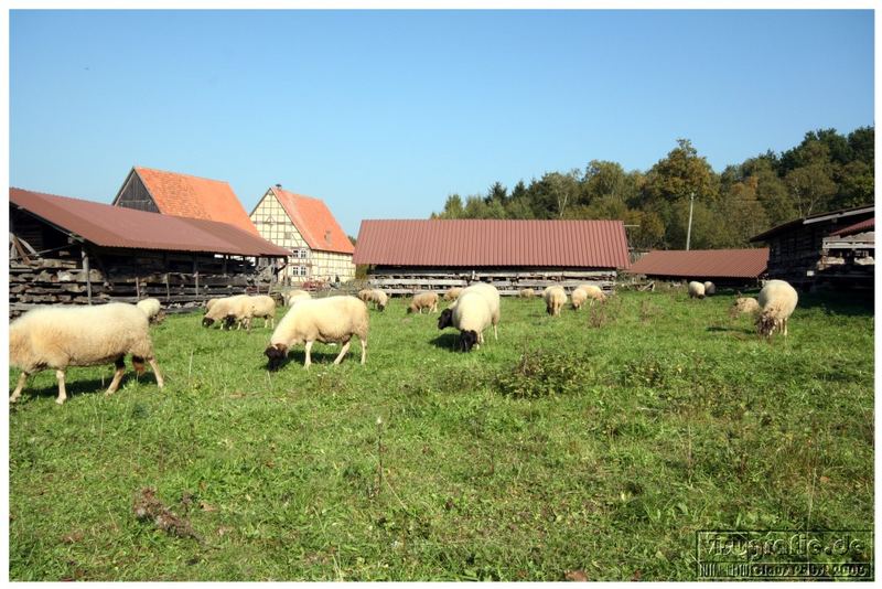 ....wird uns bald wärmen