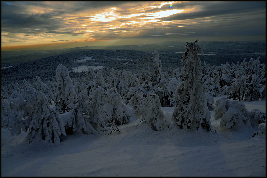 Wird unser Winter wieder so weiß? (Brocken 2008)