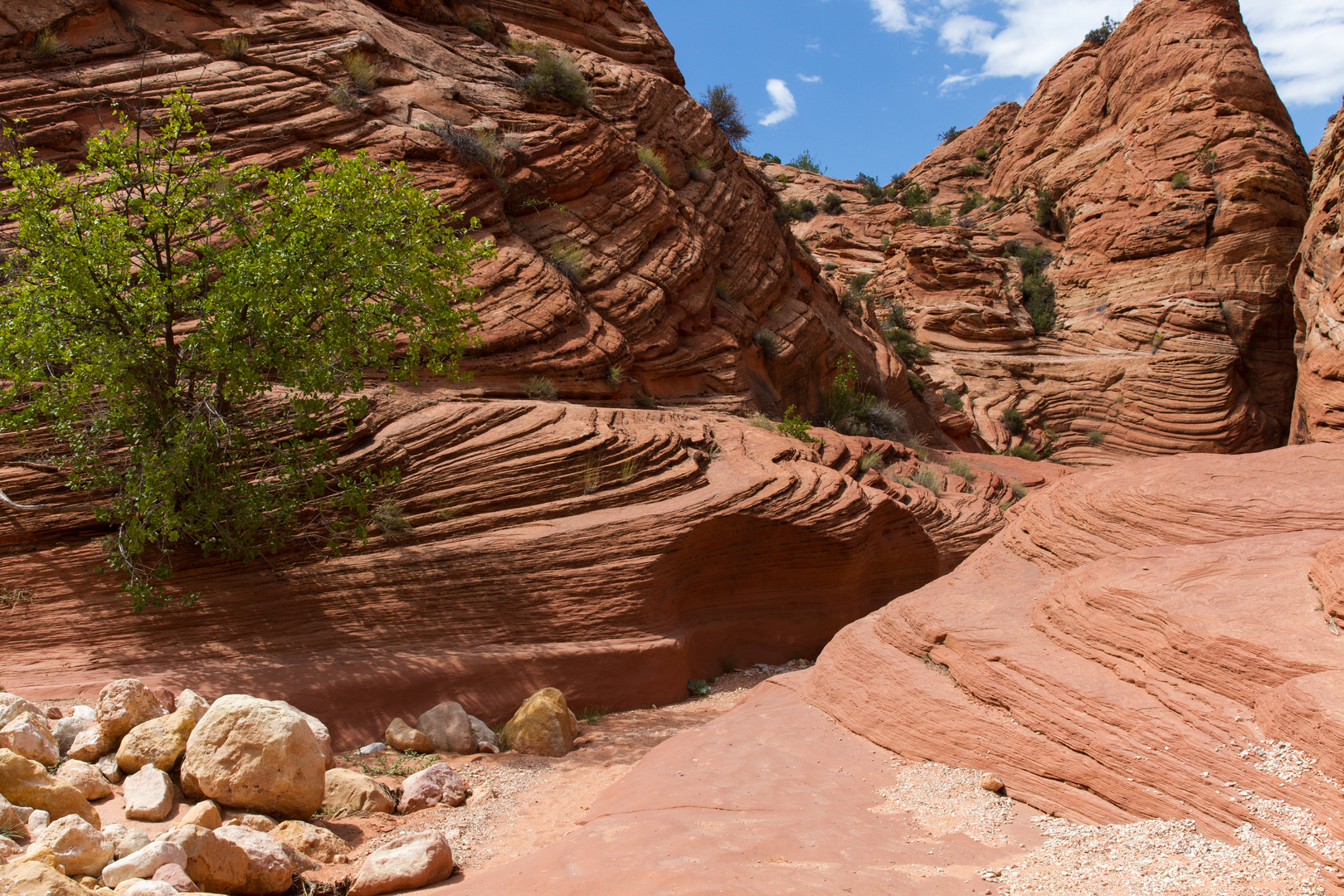 Wire Pass Slot Canyon 9