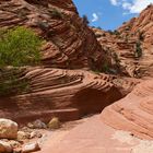 Wire Pass Slot Canyon 9