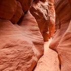 Wire Pass Slotcanyon im Vermilion Cliffs National Monument