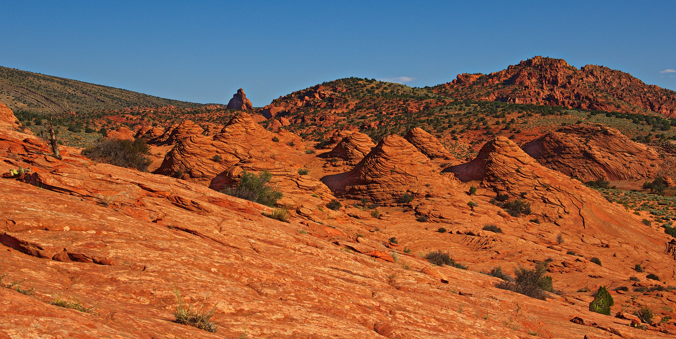 Wire Pass Trail 