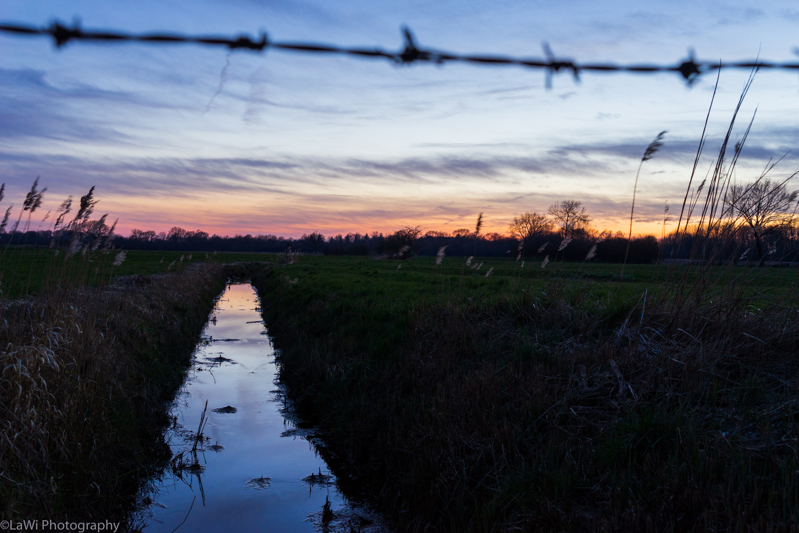 Wired Sunset