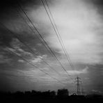 wires (with Holga)