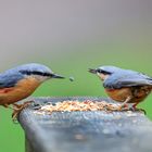 "Wirf' mal ein Körnchen rüber"