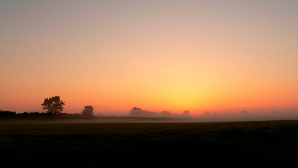 wirklich Frühnebel 5:15