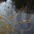 wirklich Herbst