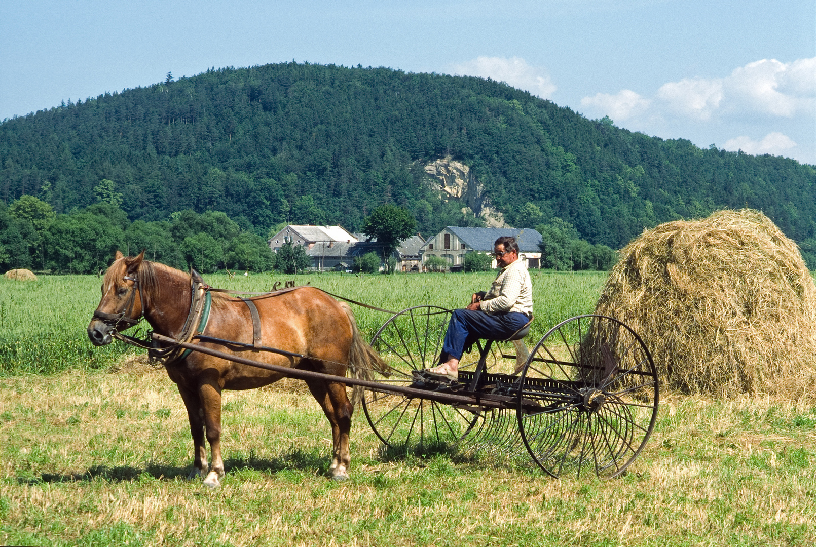 Wirklich ökologische Landwirtschaft...