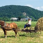 Wirklich ökologische Landwirtschaft...