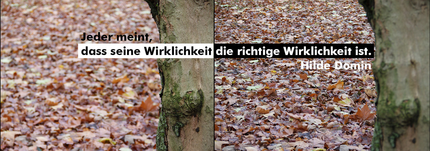 Wirklichkeit