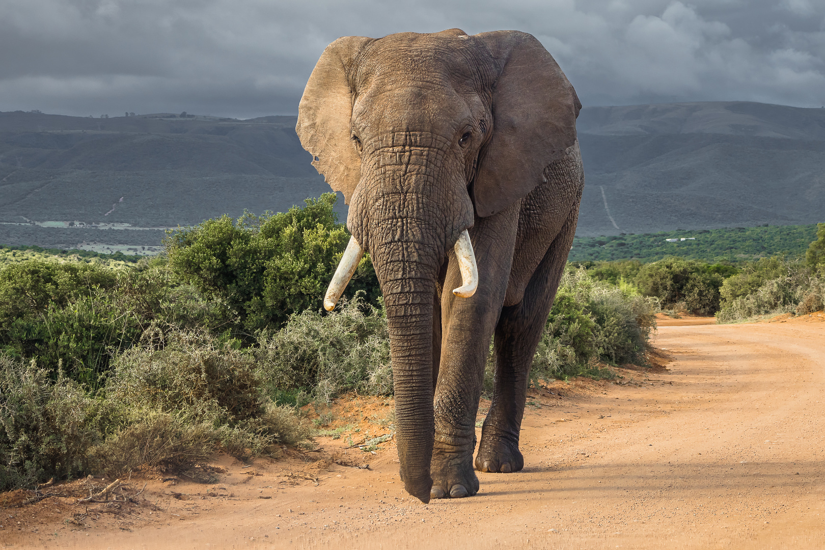 wirkt intensiver als glückskekse