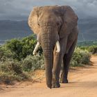 wirkt intensiver als glückskekse