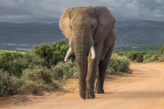 wirkt intensiver als glückskekse