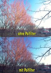 Wirkung eines Polfilters