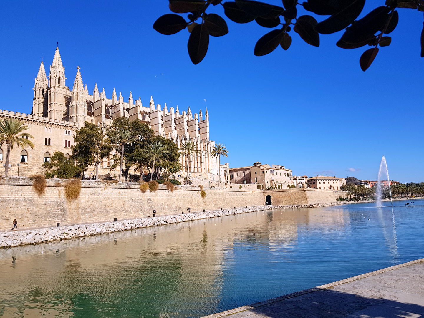 wirMallorca - Catedral de Mallorca