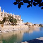 wirMallorca - Catedral de Mallorca