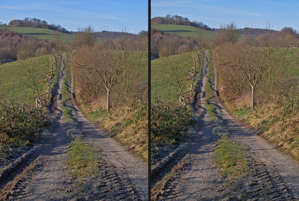 Wirtschaftsweg