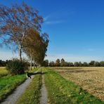 Wirtschaftsweg im Münsterland