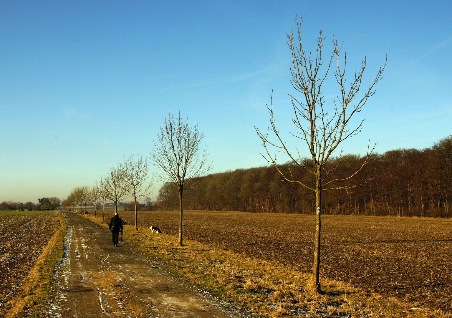 Wirtschaftsweg in Rosendahl Darfeld.