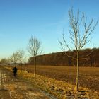 Wirtschaftsweg in Rosendahl Darfeld.