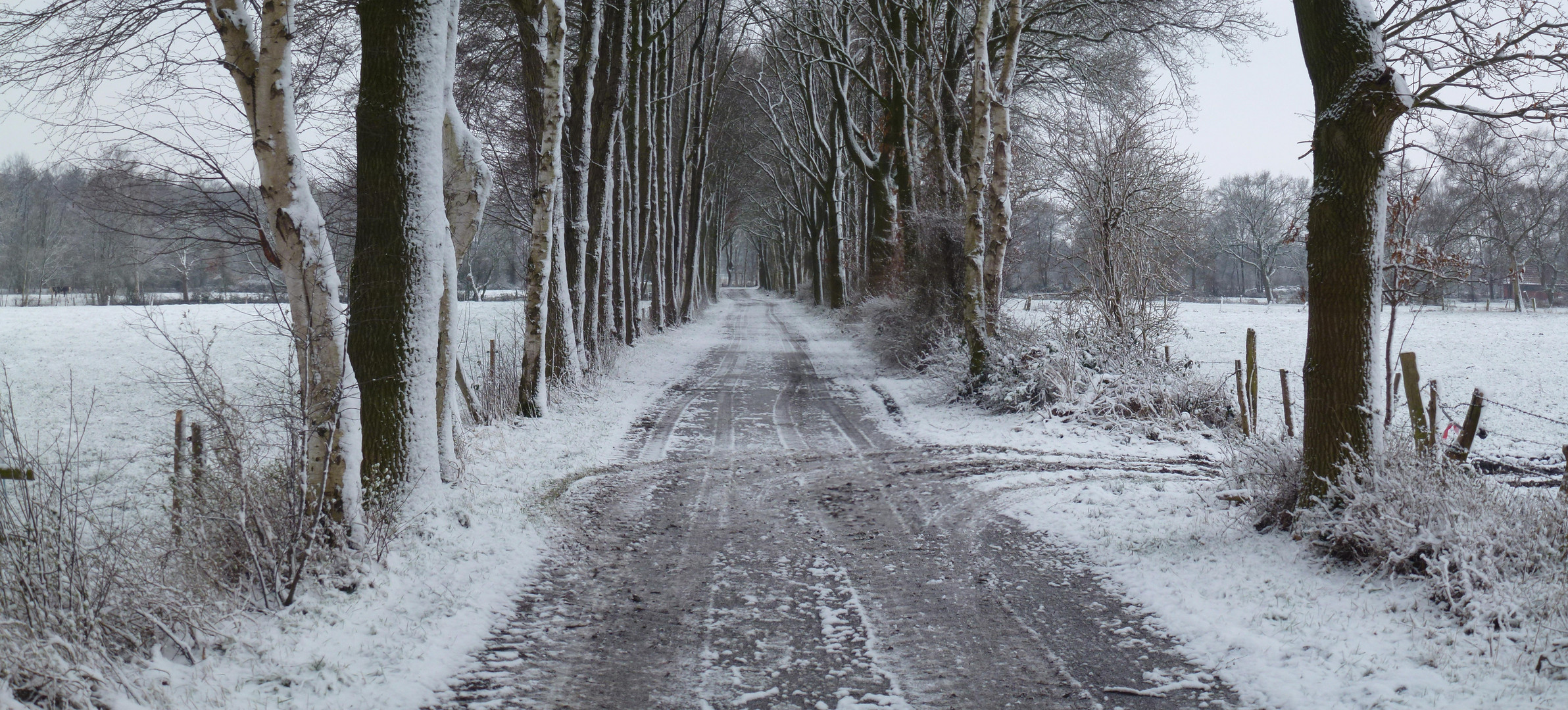 Wirtschaftsweg in Tarmstedt Winter Januar 2016