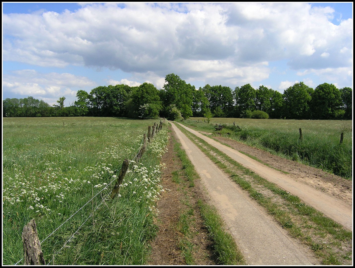 Wirtschaftsweg ins Grüne