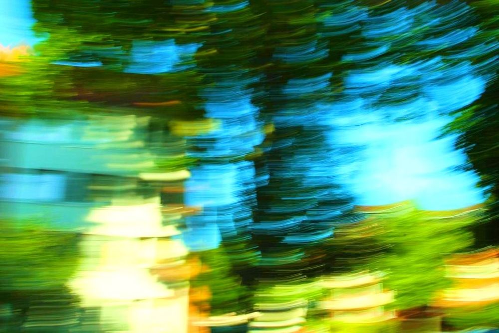 Wisch 3 Foto & Bild quatsch, fun und rätselecke, wisch, spezial