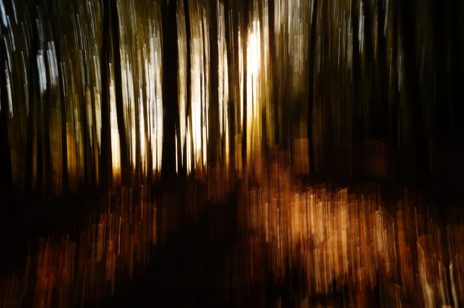 "Wisch"-Wald