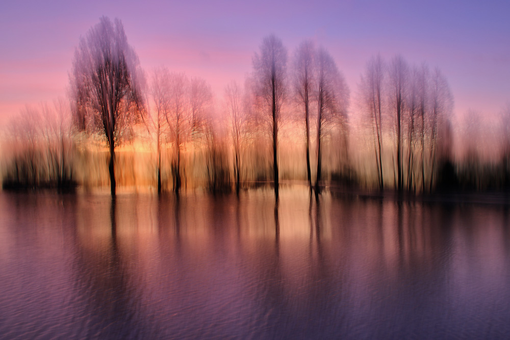 Wischeffekt am Weiher vor Sonnenaufgang