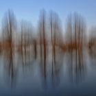 Wischeffekte am Weiher mit spiegelnden Bäumen