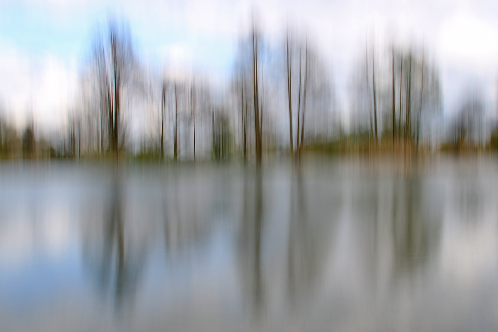 "Wischerei" am Weiher