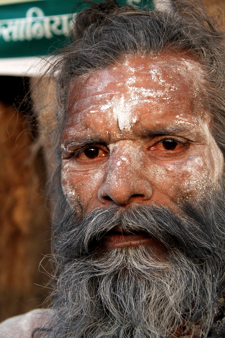 Wise Old Sadhu