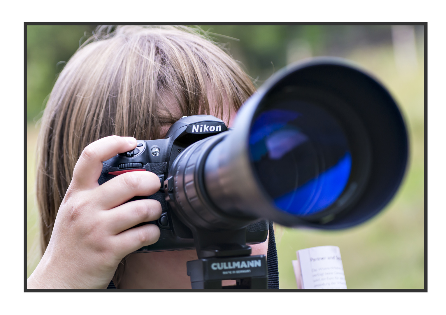 Wisent Wildnis oder wie führt man den Nachwuchs ans Fotografieren