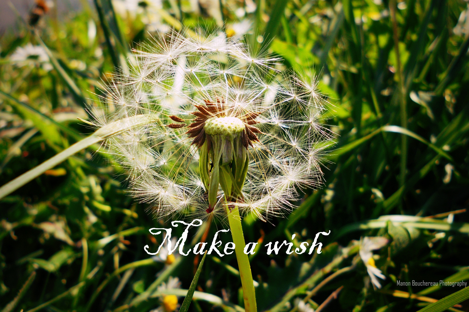 Wish