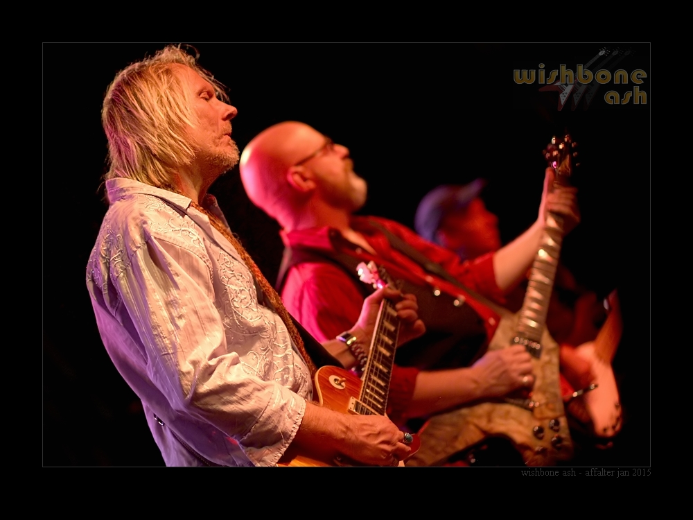 WishboneAsh2015