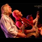 WishboneAsh2015